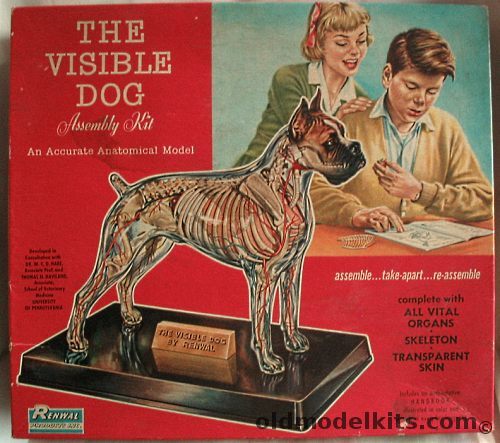 Renwal 1/3 The Visible Dog, 806-398 plastic model kit